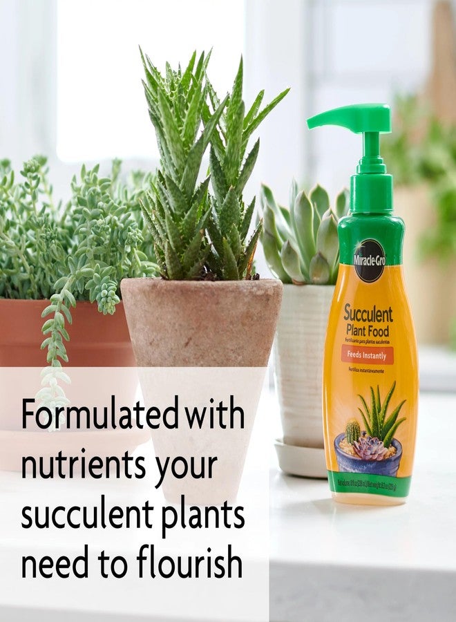 Miracle-Gro Succulent Plant Food, 8 oz., For Succulents including Cacti, Jade, And Aloe - Image 5
