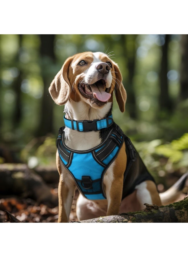 Q TRIPLE A Reflective Dog Collar with Soft Neoprene Padding, Metal D-Ring and Adjustable Length, Premium Nylon Material (Color: Light Blue) - Image 4