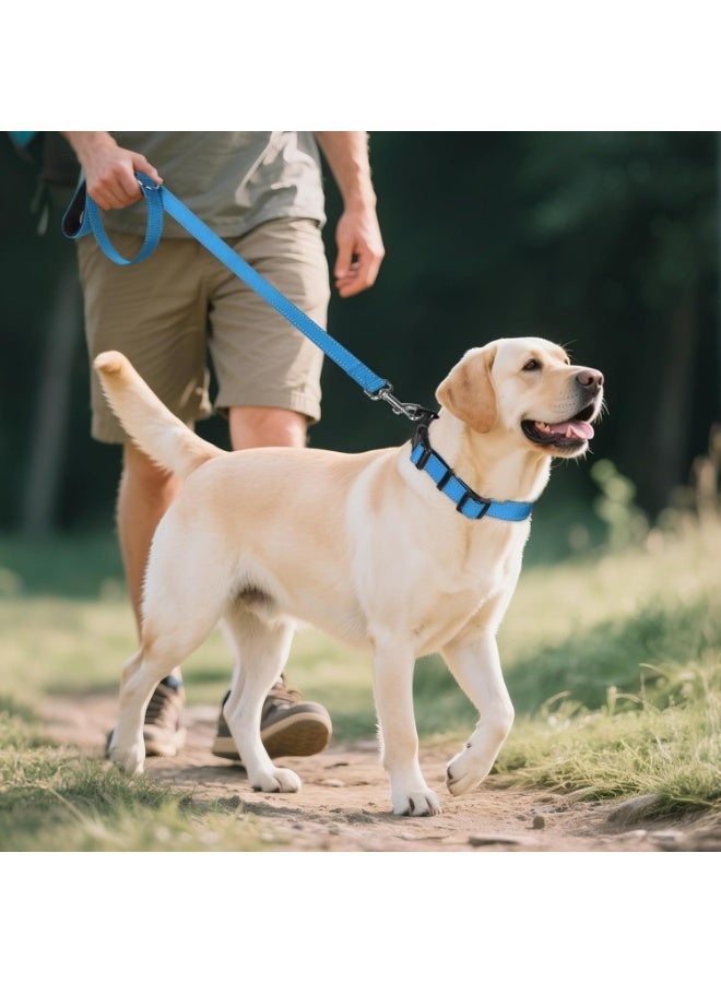 Q TRIPLE A Reflective Dog Collar with Soft Neoprene Padding, Metal D-Ring and Adjustable Length, Premium Nylon Material (Color: Light Blue) - Image 5