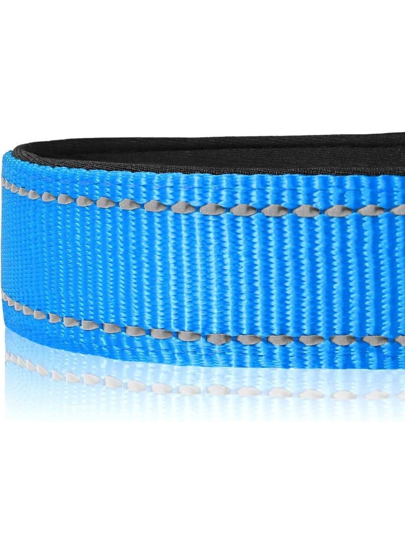 Q TRIPLE A Reflective Dog Collar with Soft Neoprene Padding, Metal D-Ring and Adjustable Length, Premium Nylon Material (Color: Light Blue) - Image 2