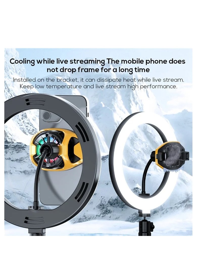 Memo DL22 Mobile Phone Cooling Fan with RGB Lights Adjustable Semiconductor Radiator Cooler  - Image 3