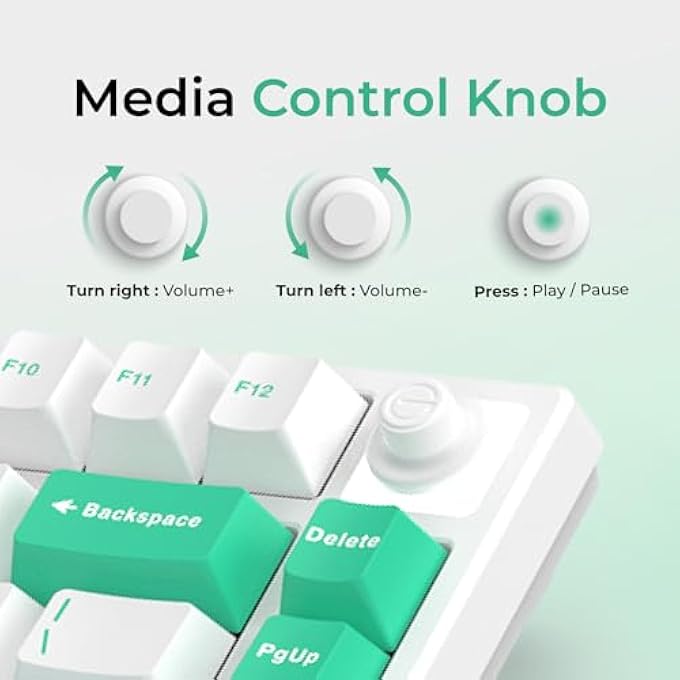 rayihni KS75T 75% MECHANICAL KEYBOARD WITH VOLUME KNOB, TRI-MODE HOT SWAPPABLE GAMING KEYBOARD, RGB BACKLIT, BLUETOOTH, 2.4G CONNECTION WITH SILVER SWITCHES - Image 2