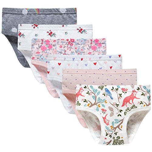 Boboking Girls Underwear Little Girls Briefs Toddler Cotton Underwear (Pack of 6) 3-4T - Image 1