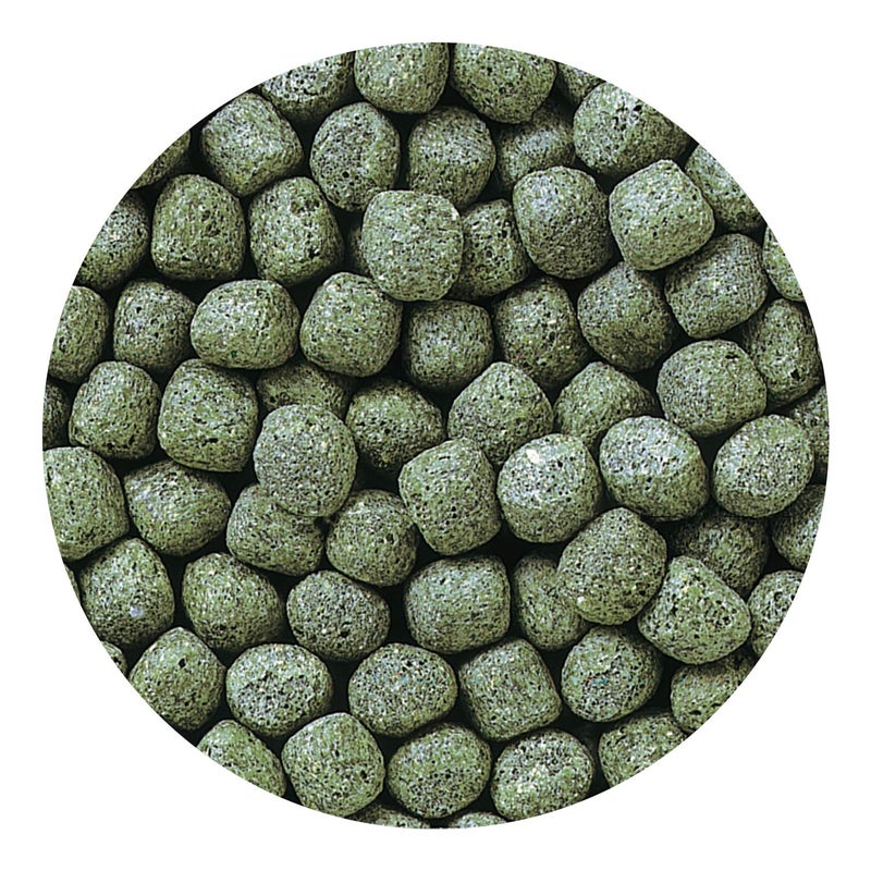 Hikari Cichlid Staple Floating Pellets Fish Food, Large Pellets, 8.8 oz. (250g) - Image 4