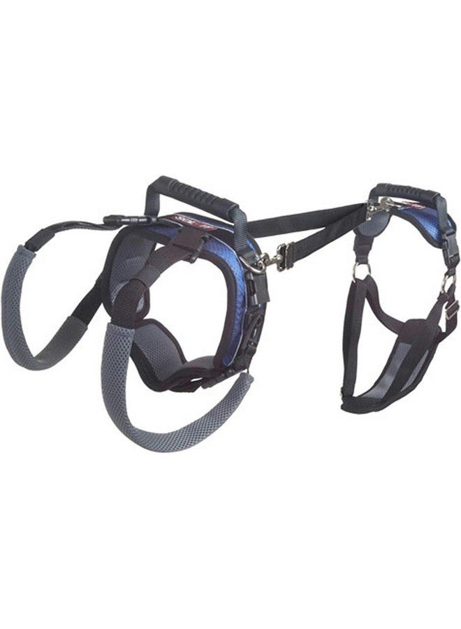 بيت سيف حزام دعم PetSafe CareLift - مساعد رفع كامل الجسم بمقبض - رائع لسهولة حركة الحيوانات الأليفة والكلاب الأكبر سنًا - مادة مريحة وجيدة التهوية - سهل التعديل، كبير - Image 1