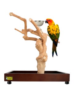 CHEWY BEAK Bird Stand Table Top Natural wooden Parrot Play Stand Indonesian Java wood Tree Perches with Stainless steel feeder small size  - Image 1