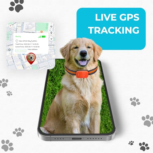 FETACA 4G Pet GPS Tracker with Free 4G Sim Card & Collar | Real-Time Location Tracking for Dogs, Horses, Cows | Waterproof, Lightweight Design with Geo-Fence Alerts & Mobile App (Orange) - Image 2