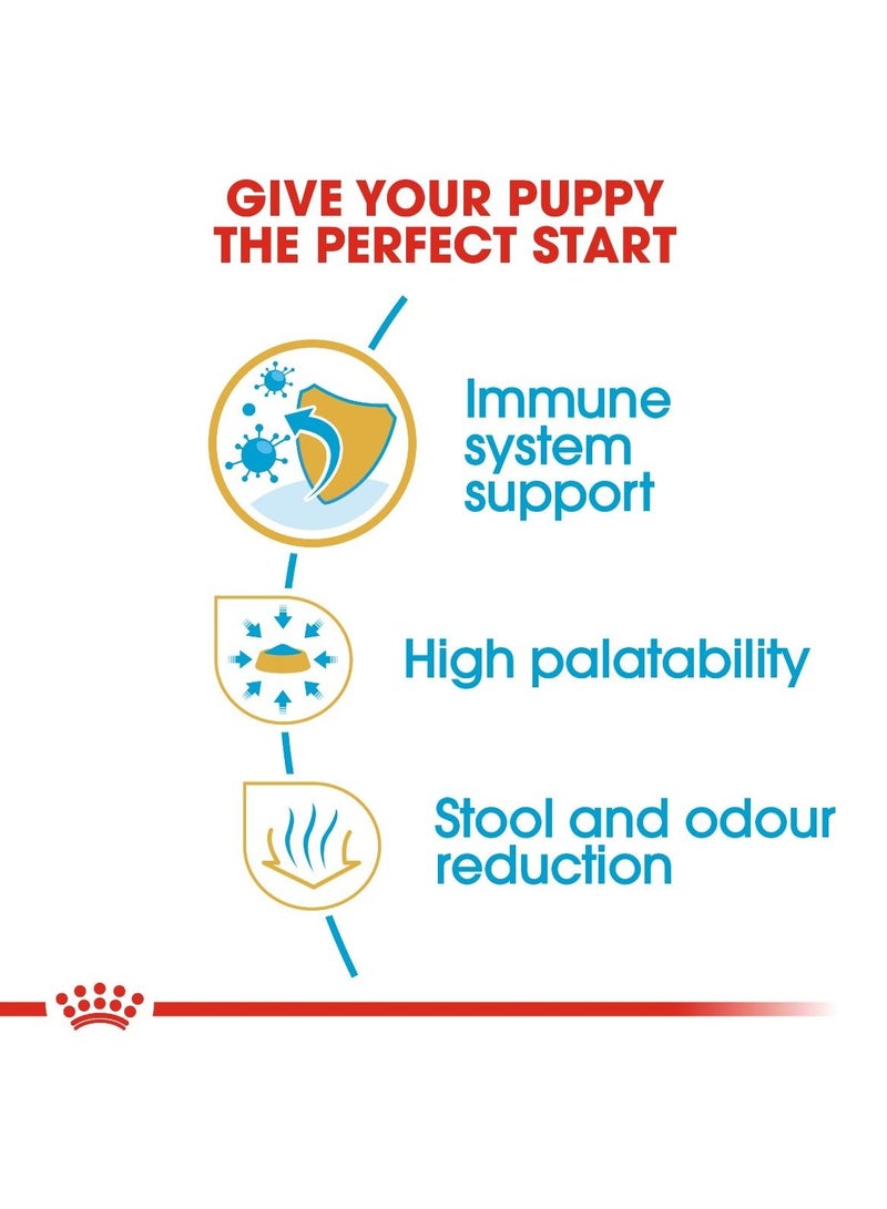 رويال كانين - تغذية صحية لجرو شيواوا - وزن 1.5 كجم - Image 4