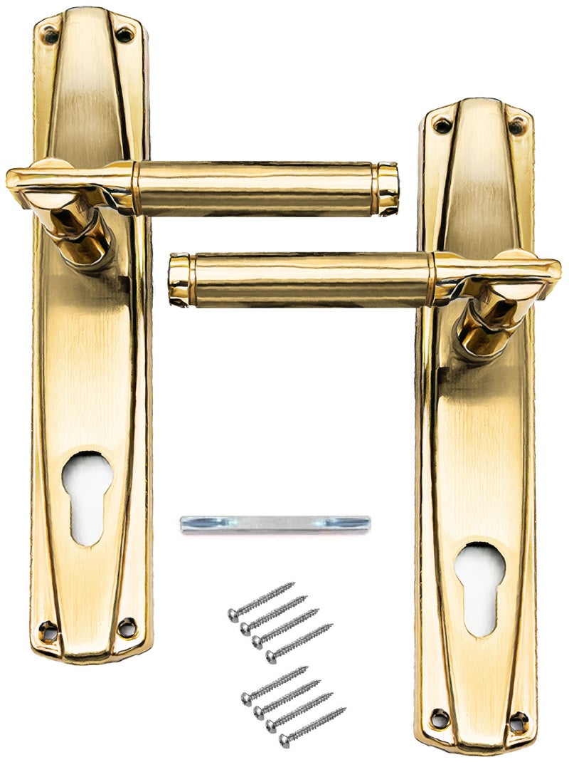Pair Of Door Handles With Lock Slot Golden