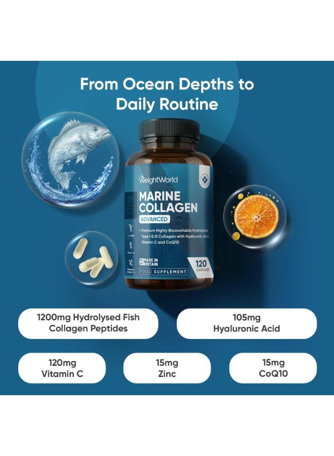 WeightWorld Marine Collagen Capsules 1455mg | 120 Capsules | Type 1 & 3 Collagen Supplements for Women & Men | Hydrolysed Fish Peptides Complex with Hyaluronic Acid, Vitamin C, Zinc & CoQ10 - Image 2