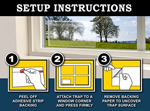 MaxGuard Window Fly Traps (24 XL Traps) Catch & Kill Houseflies, Flying Insects & Bugs. Non-Toxic Sticky Glue Traps Fly Killer Clear Strip Insect Catcher Safe No Zapping with Zapper | - Image 5