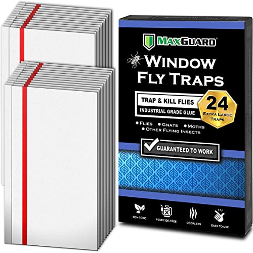 MaxGuard Window Fly Traps (24 XL Traps) Catch & Kill Houseflies, Flying Insects & Bugs. Non-Toxic Sticky Glue Traps Fly Killer Clear Strip Insect Catcher Safe No Zapping with Zapper | - Image 1