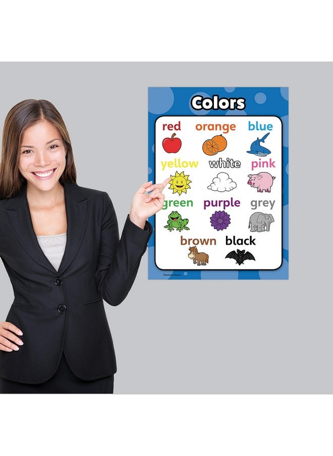 Palace Learning Palace Learning 5 Pack - Preschool Curriculum Kit on CD & ABC Alphabet + Numbers 1-10 + Shapes + Colors Poster Set (LAMINATED, 18” x 24”)  - Image 5