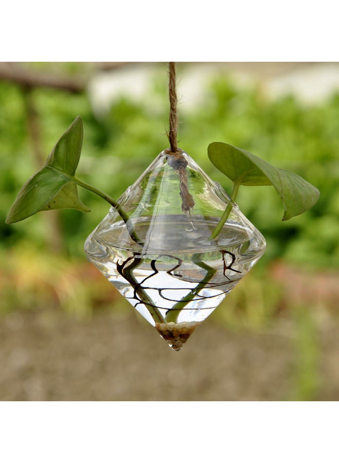 Beauenty Flower Planter Clear  - Image 5