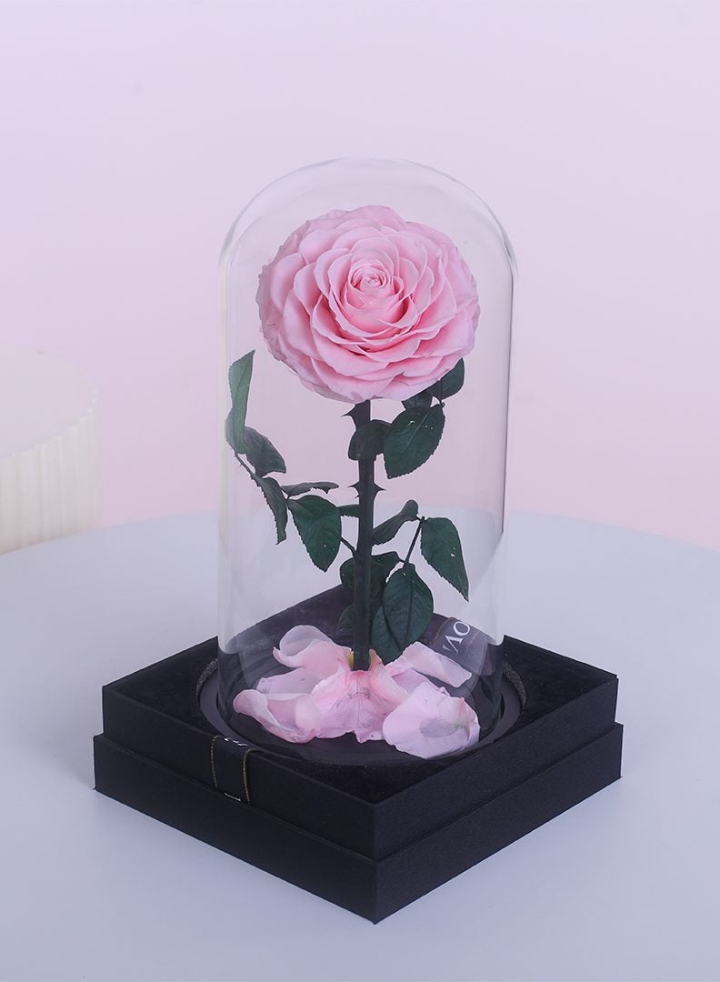 Festive Gallery Handmade Preserved Rose Forever Never Withered Flowers,Gift for Wedding,Birthday, Mother's Day Gift, Best Gift for Her Rose (Single Rose, PINK) - Image 2