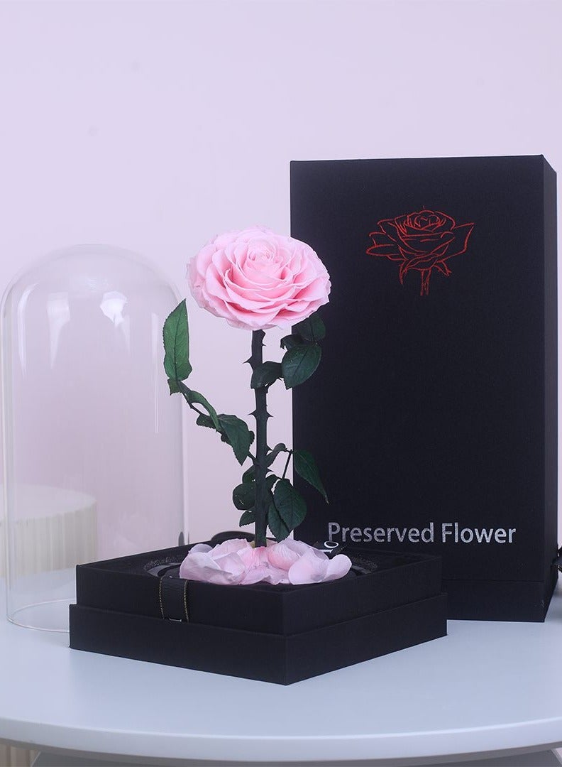 Festive Gallery Handmade Preserved Rose Forever Never Withered Flowers,Gift for Wedding,Birthday, Mother's Day Gift, Best Gift for Her Rose (Single Rose, PINK) - Image 1