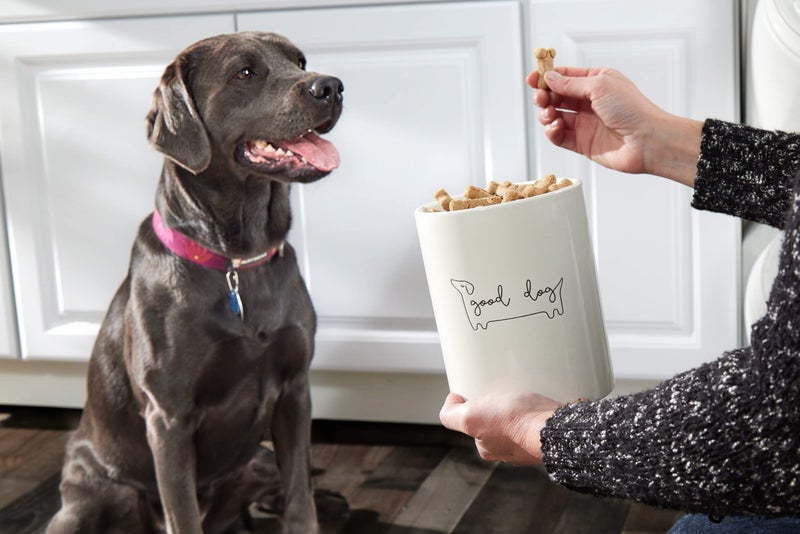 Pearhead Good Dog Ceramic Treat Jar with Airtight Wooden Lid â€“ Modern Neutral Pet Treat Canister Keeps Snacks Fresh â€“ Stylish Countertop Storage, 4 Cup / 32 oz - Image 5