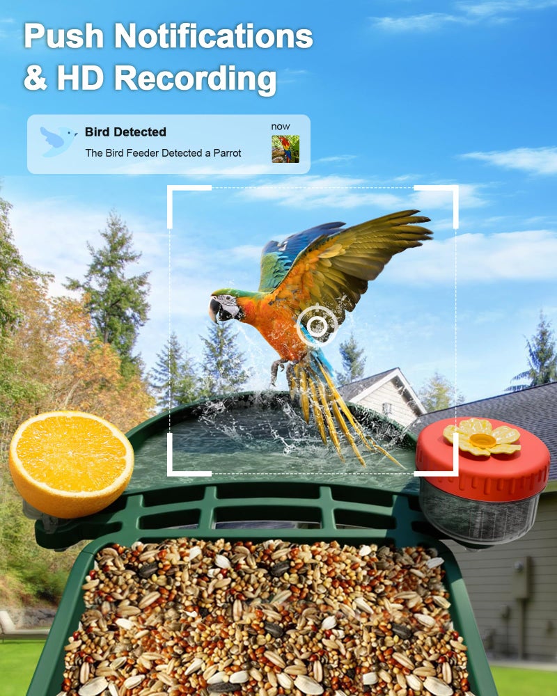 VISIOGEAR 2-in-1 Smart Wild Bird Feeder & Bath with 4K HD Camera, AI Identification Solar Bird Feeder Watching Camera Night Vision for Outdoor Birds Watching Gifts for Birdlover, Red & Green - Image 4