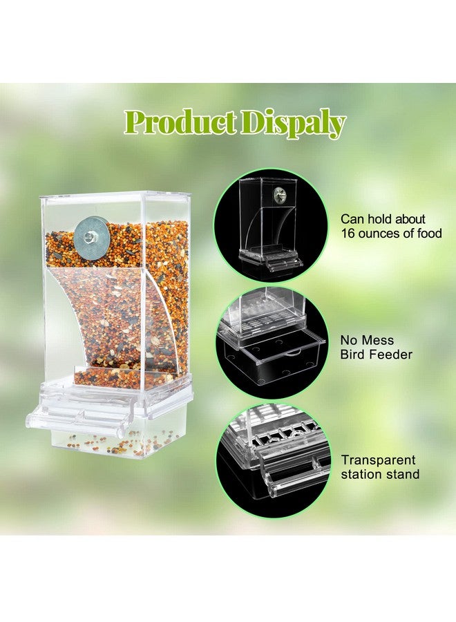 Rypet Rypet No Mess Automatic Bird Feeder Transparent Food Container Cage Acrylic Parrot Feeder Accessories for Small Birds Parrot Cockatoo Canary  - Image 3