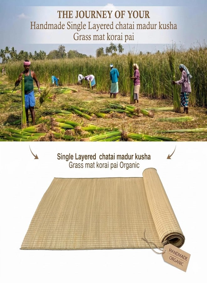 ORRIC Natural Single Layered Kusha Grass Mat - Traditional Korai Pai/Madur Chatai for Yoga, Meditation, Puja & Floor Seating - Eco-Friendly & Breathable (40 x 72 INCH) - Image 3