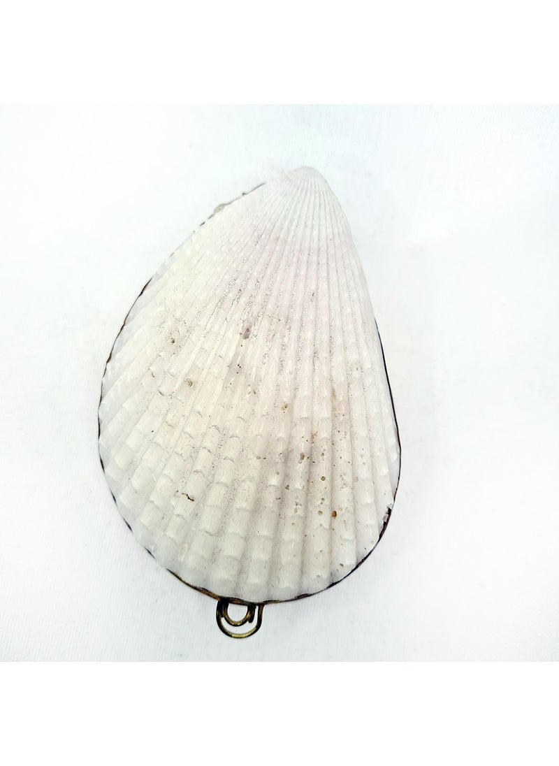 evinizdeki okyanus esintisi turkuaz hediyelik Lima Lima Shell Wallet  - Image 1