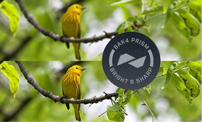 Bushnell H2O Waterproof Compact Roof Prism Binocular, 10 x 25-mm, Black - Image 3