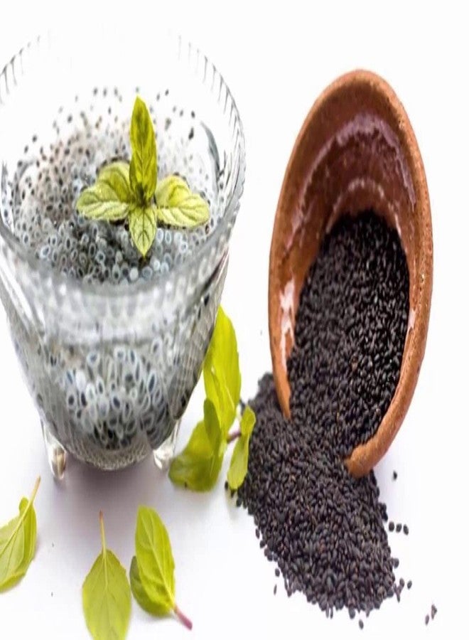 Value Life Essentials Valuelife Sweet Basil Seeds (Sabja) 100g - Image 3