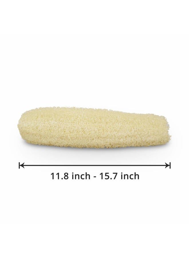 METLUCK Natural Organic Loofah Sponges Large Exfoliating Shower Bath Loofah Luffa Loofa Body Scrubbers Sponges for SPA Beauty Bath and Radiant Skin, Pack of 4 - Image 2