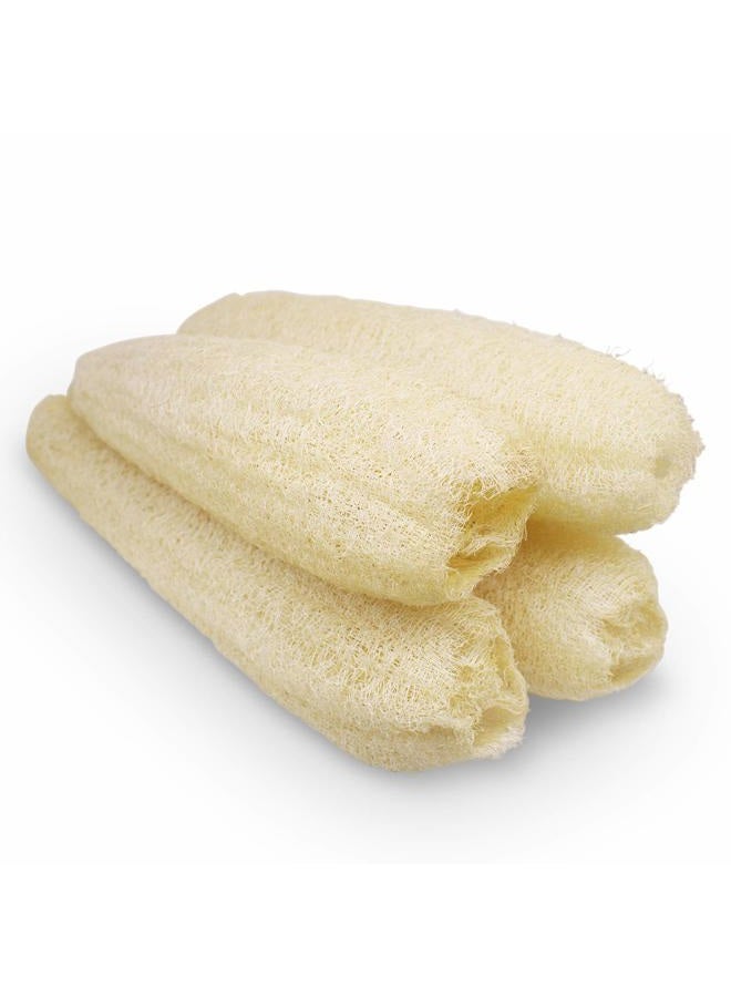 METLUCK Natural Organic Loofah Sponges Large Exfoliating Shower Bath Loofah Luffa Loofa Body Scrubbers Sponges for SPA Beauty Bath and Radiant Skin, Pack of 4 - Image 1