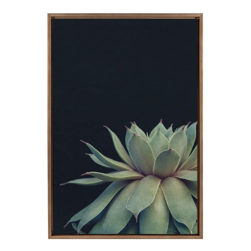 Kate and Laurel Kate and Laurel Sylvie Succulent Plant Framed Canvas Wall Art Botanical Green with Black Background 23x33 Gold 