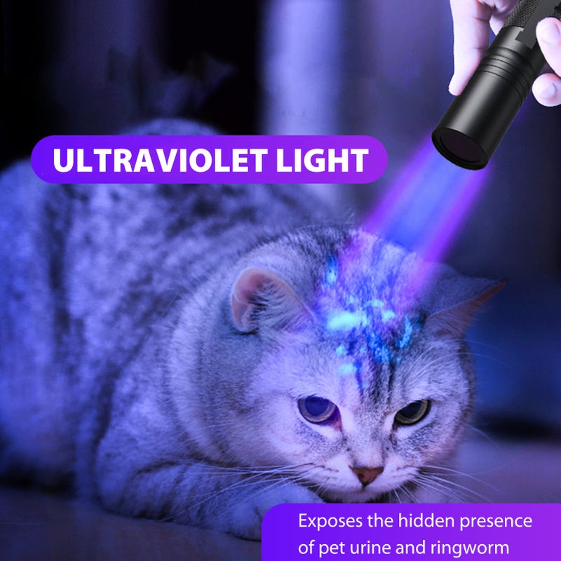 UV 365nm Light, 20W Portable Rechargeable Wood's Lamp Mini Handheld UV Flashlight for Dog Urine, Pet Stains, Resin Curing, Fluorescent Agent - Image 4