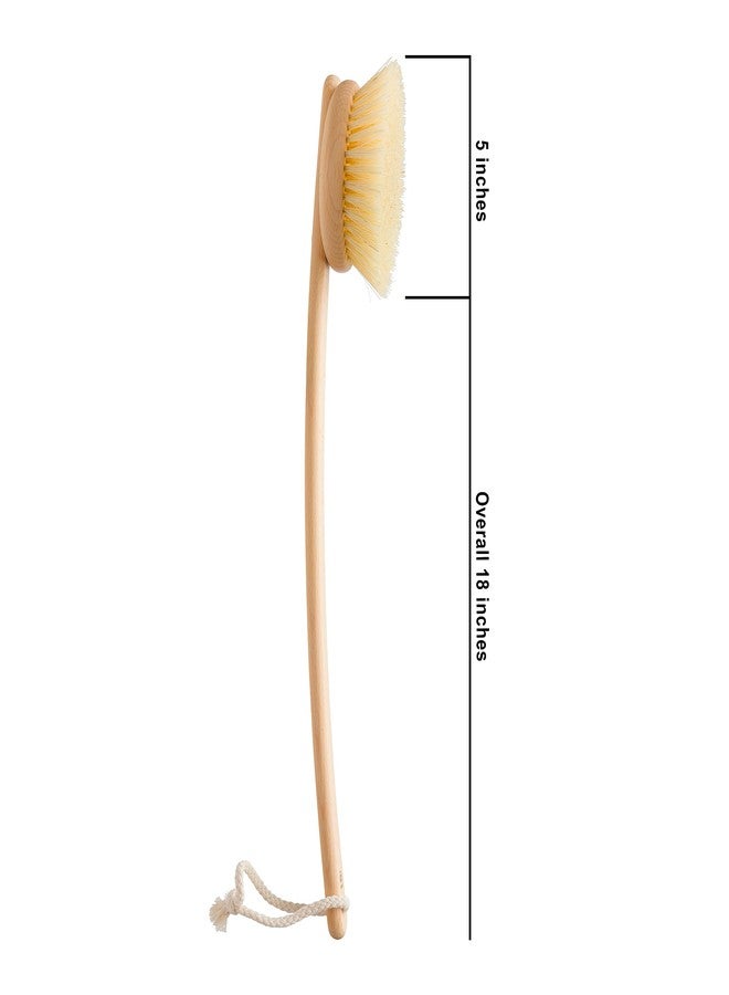 Redecker 100% Made in Germany Round Tampico Fiber Bath Brush with Extra-Long Oiled Beechwood Handle, 18-1/2-Inches - Image 3