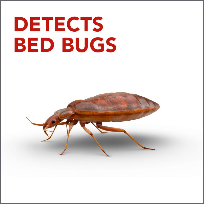 Raid Bed Bug Detector and Trap, For Indoor Use, 4 Count - Image 2