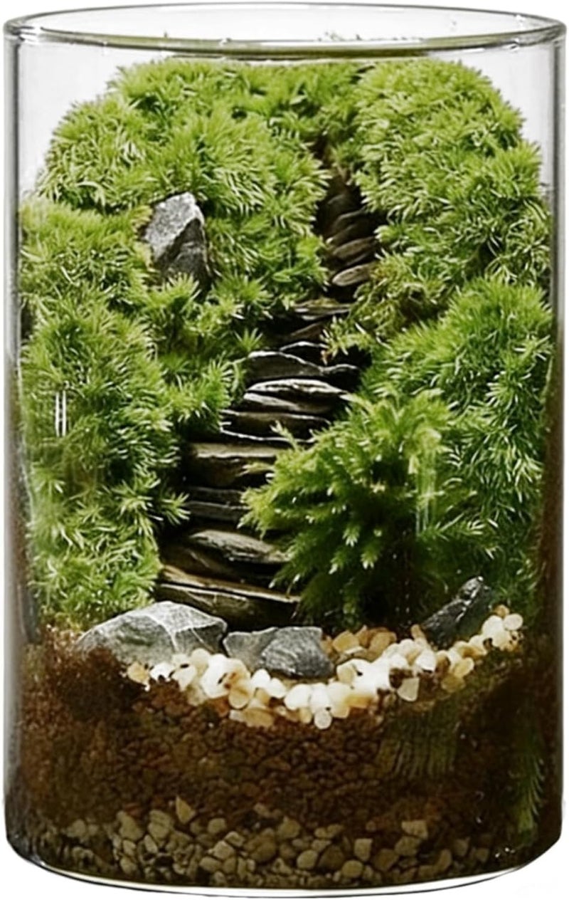 DIY Moss Terrarium Kit, Large 5.9 x 3.9 in Glass Ecosystem Bottle, High Borosilicate, with Tools and Material Pack, for Indoor Plants and Relaxation - Image 1