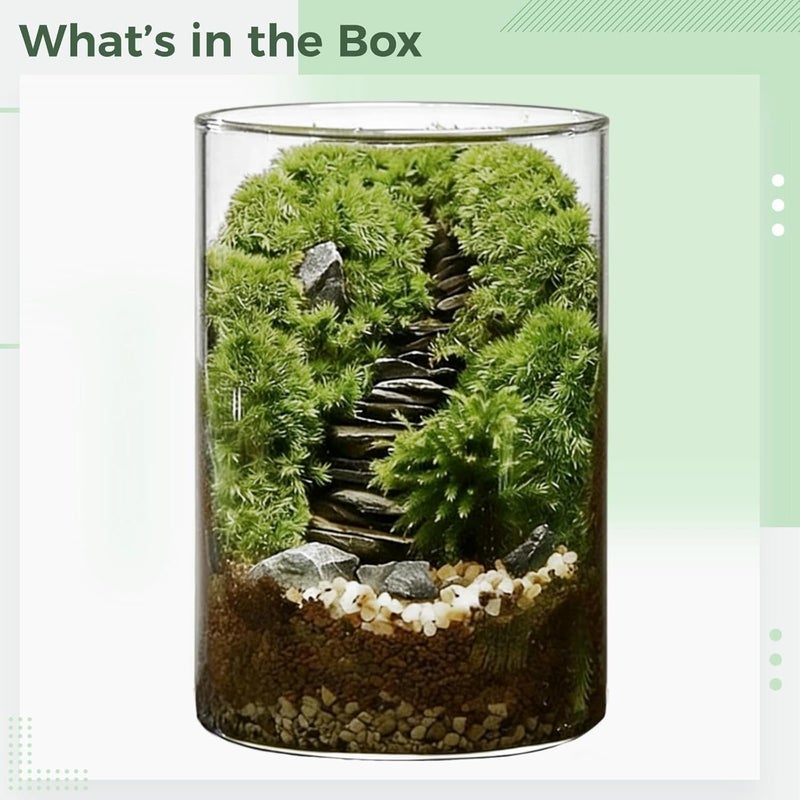 DIY Moss Terrarium Kit, Large 5.9 x 3.9 in Glass Ecosystem Bottle, High Borosilicate, with Tools and Material Pack, for Indoor Plants and Relaxation - Image 4