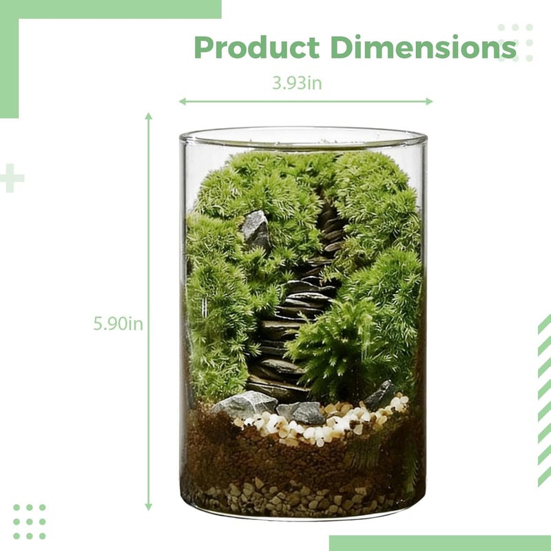 DIY Moss Terrarium Kit, Large 5.9 x 3.9 in Glass Ecosystem Bottle, High Borosilicate, with Tools and Material Pack, for Indoor Plants and Relaxation - Image 5