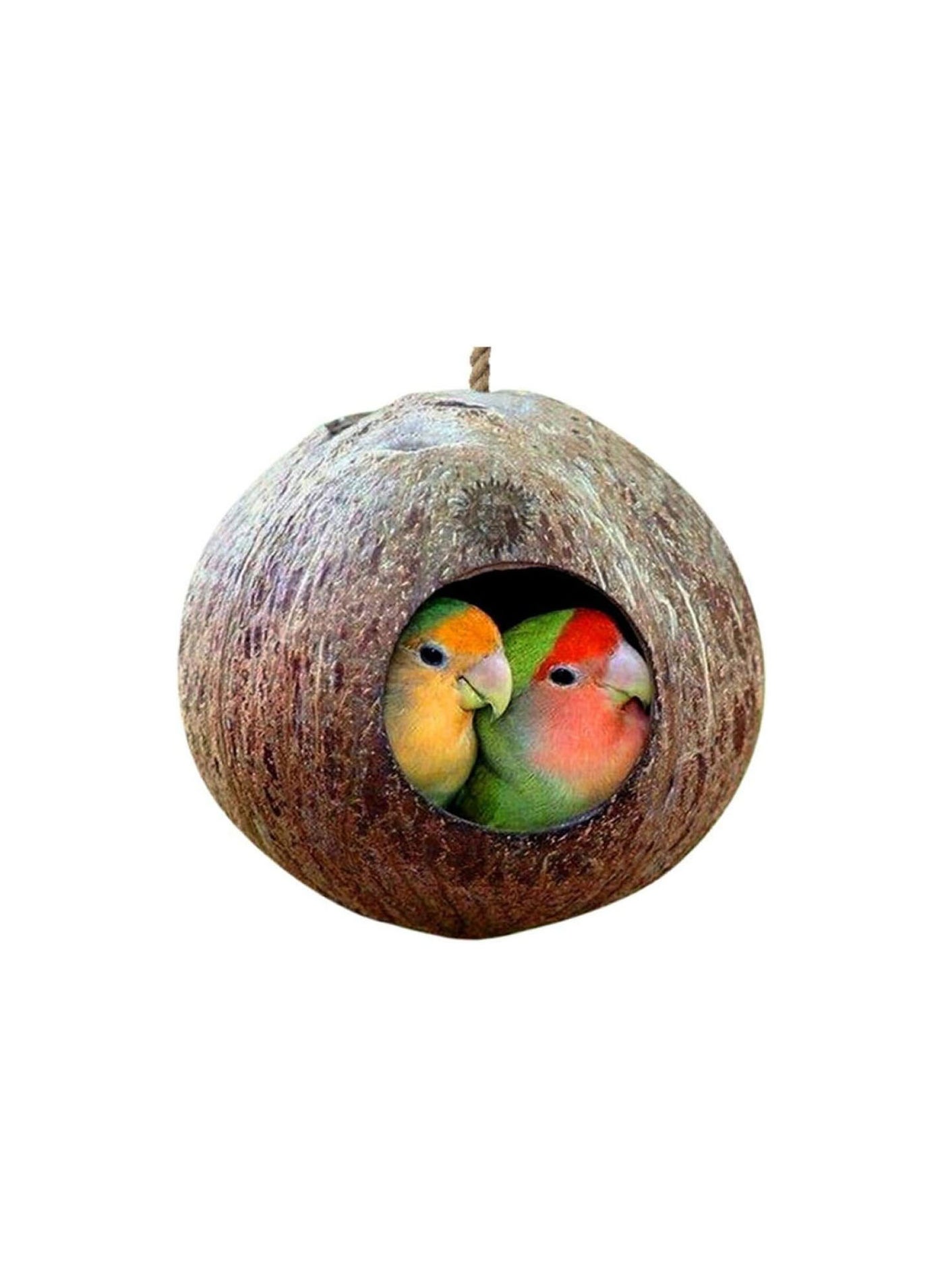 Cage with Hanging Lanyard for Small Pet Parakeets Finches Sparrows Accessories Natural Coconut Shell Bird Nesting House