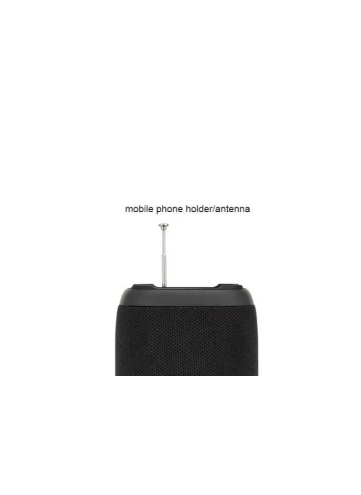 Kisonli - Kisonli Q19 Waterproof IPX5 Portable Two Bass TWS Wireless BT 5.1 Speaker with TF USB FM AUX Black - Image 1