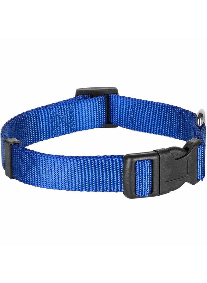 Blueberry Pet Essentials Matching Dog Collar and Double Handle Leash Set in Royal Blue, Adjustable Classic Solid Color Nylon Collar with 5 ft Leash for Medium Dogs - pzsku/Z293D281609DA154349AEZ/45/_/1737032148/b2e2190a-1e14-4bb5-943d-b2e670c3e9dc