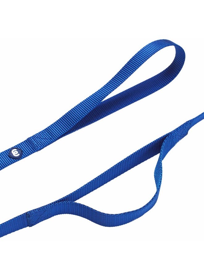 Blueberry Pet Essentials Matching Dog Collar and Double Handle Leash Set in Royal Blue, Adjustable Classic Solid Color Nylon Collar with 5 ft Leash for Medium Dogs - pzsku/Z293D281609DA154349AEZ/45/_/1737032226/cdb4f2fe-5b59-4d74-a48e-1cc5f210c2c4