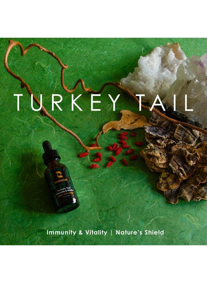 Redmint Turkey Tail Mushroom Herbal Tincture -Immunity & Vitality | with TCM Herbs of Astragalus and More|Organic Immune Support Mushroom Supplement | Nature's Boost for Immunity and Energy | 1 Fl oz - Image 3