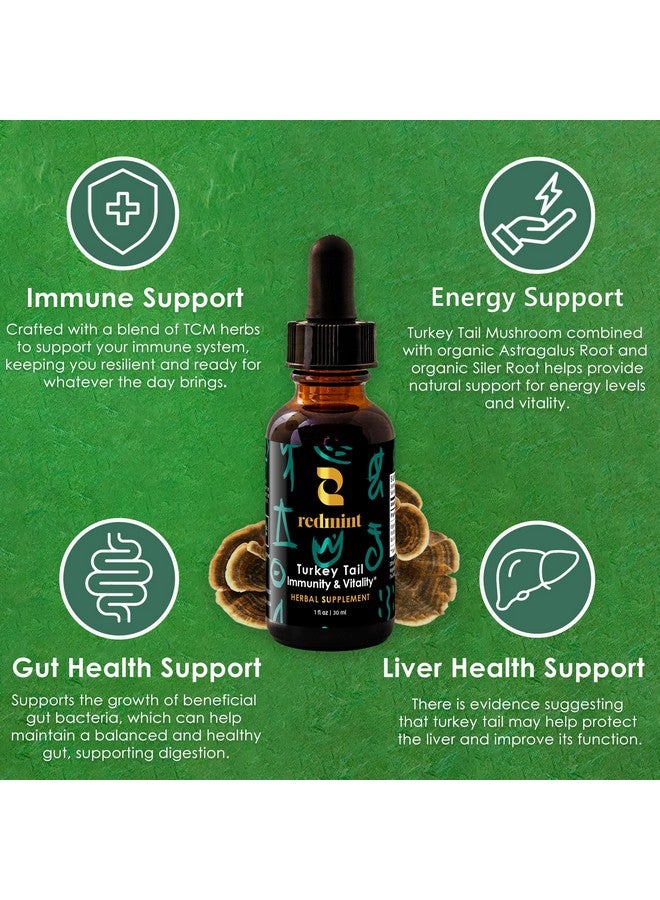 Redmint Turkey Tail Mushroom Herbal Tincture -Immunity & Vitality | with TCM Herbs of Astragalus and More|Organic Immune Support Mushroom Supplement | Nature's Boost for Immunity and Energy | 1 Fl oz - Image 4