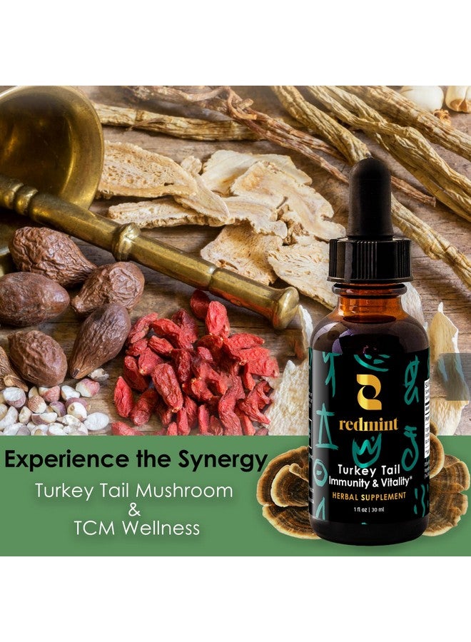 Redmint Turkey Tail Mushroom Herbal Tincture -Immunity & Vitality | with TCM Herbs of Astragalus and More|Organic Immune Support Mushroom Supplement | Nature's Boost for Immunity and Energy | 1 Fl oz - Image 5