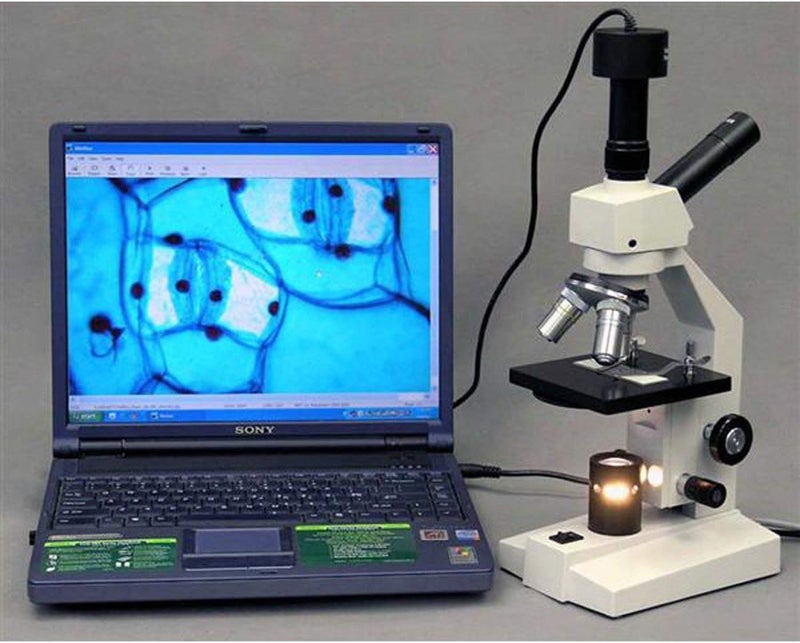 AmScope AmScope D120MS DualView Compound Monocular Microscope 40X1000X Magnification Brightfield 125 NA Abbe Condenser Mechanical Stage  - Image 4