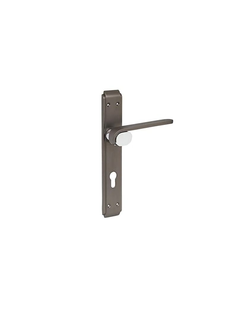 روبستلاين مقبض الباب | مادة الزنك | اللون الفضي النيكل الأسود | روبوستلين - Image 2