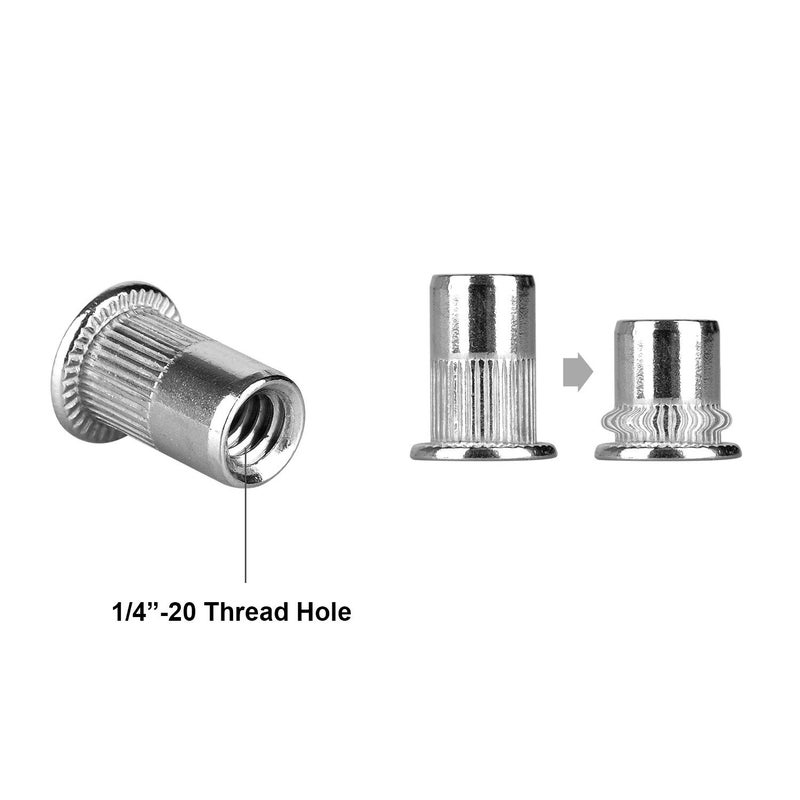 Anwenk 40Pcs 1/4â€-20 Rivet Nuts Stainless Steel Threaded Insert Nut 1/4-20UNC Nutsert Rivnuts Flat Head Knurled Body - Image 3