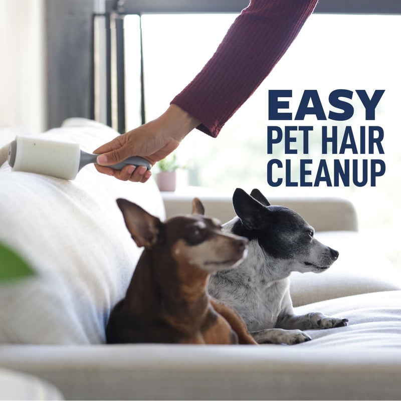 Scotch Brite Scotch-Brite Everyday Clean Lint Roller, 3 Pack, Lint Remover for Pet Hair, Dark Clothes, Furniture, and Dusty Surfaces, Picks Up Fur & Fluff in Your Home, Car & Office, 300 Adhesive Sheets Total - Image 3