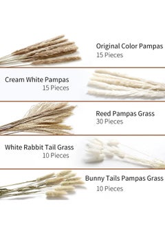 ماركة غير محددة المجففة Pampas العشب المجفف زهرة صغيرة بوص بوهيميا الزهور الطبيعية للزينة المنزلية زهرة غرفة المعيشة شرفة حفل زفاف ترتيب ذيل الأرنب الأبيض ريد 
