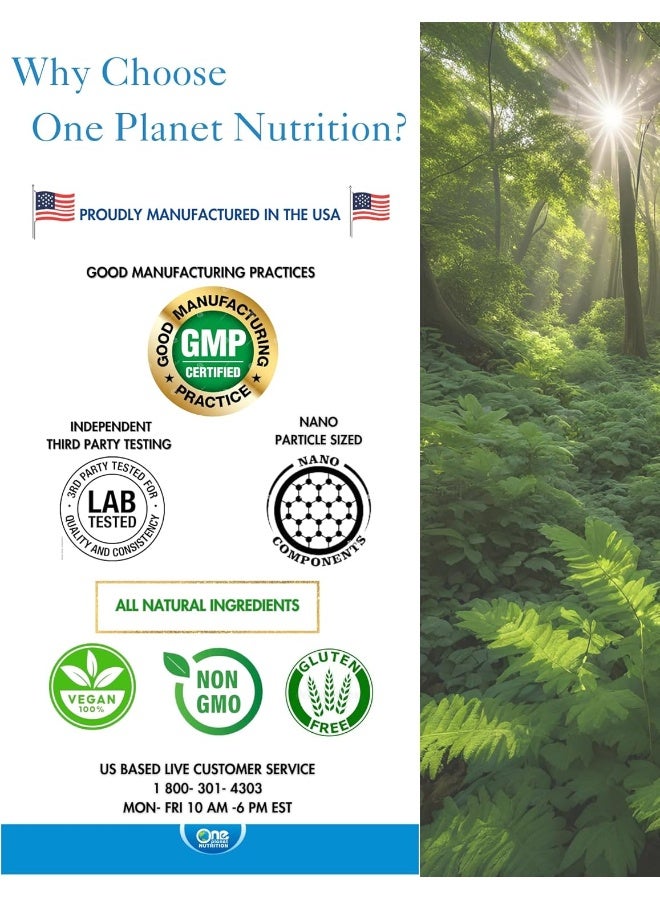One Planet Nutrition Nano Amla Veggie Capsules for Immune Support - Image 4