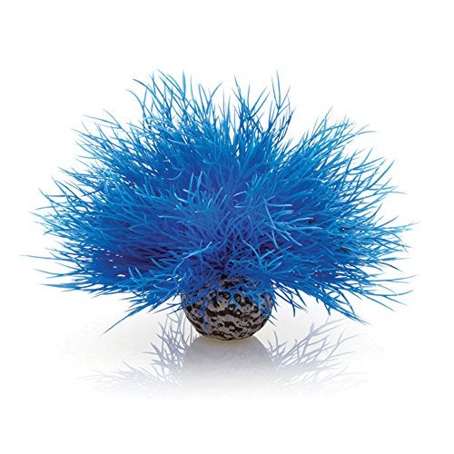 biOrb Sea Lily Blue - Image 4